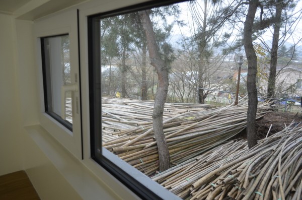 aaaf4e83728d208165892e9e6976824c_1516069