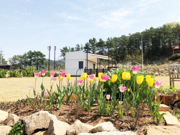 b55744775e4c33ba70d0d435cb2be46f_1525237