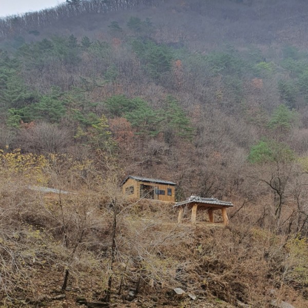 37bcd184b52b597cbfe226112770772a_1608627