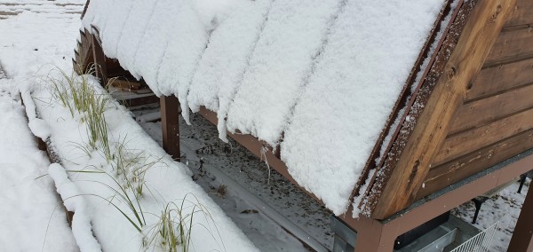 a91b56b804fc47291e4b72d09aa9289f_1609416