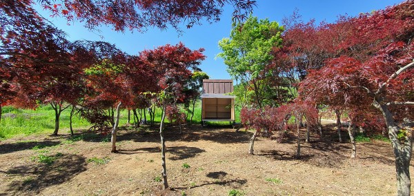 a9c4d889ab2480bb16abf24797cb8615_1621999