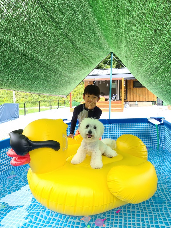 d03585e27ac0756888cce4811cb871b8_1629338