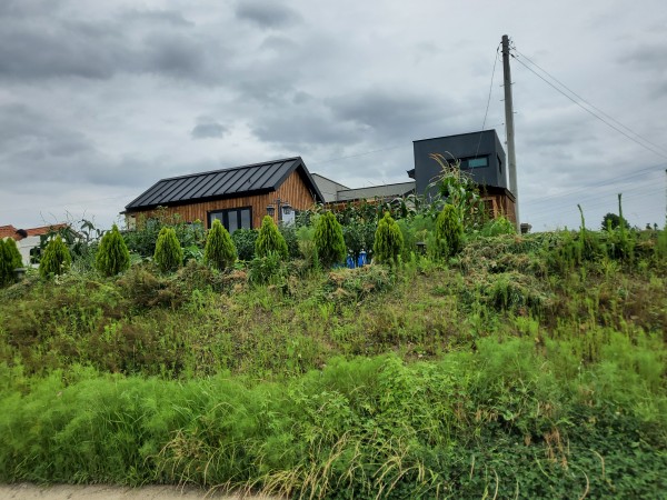 aec499915a2d2387b3d026e179a7b2ee_1633497