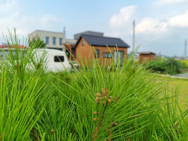 aec499915a2d2387b3d026e179a7b2ee_1633497