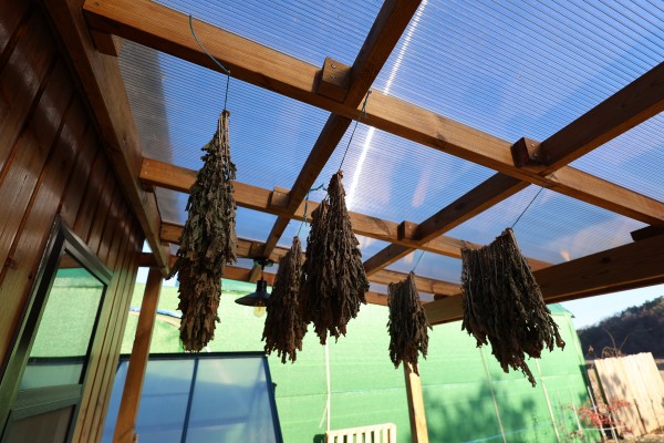 dbc264d3f06169d49d18f329fe18ac7b_1642666