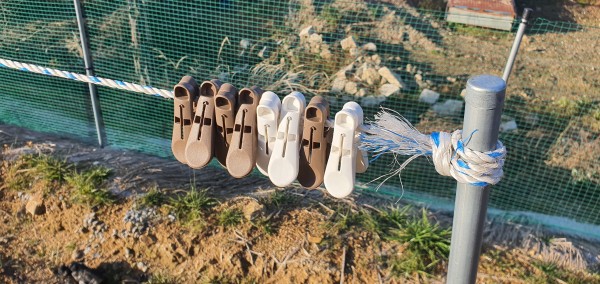 27d5f23c3fcefdf3c1962a319248530d_1644482