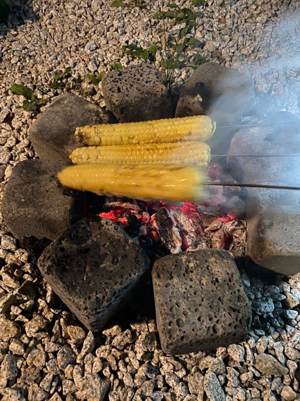 f11ec7129d1698f7460273b8e57f86e2_1663564