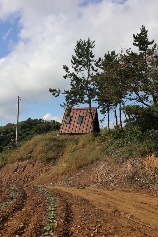 2c604b1b3304bc557fc6bb30c8e6064a_1665462