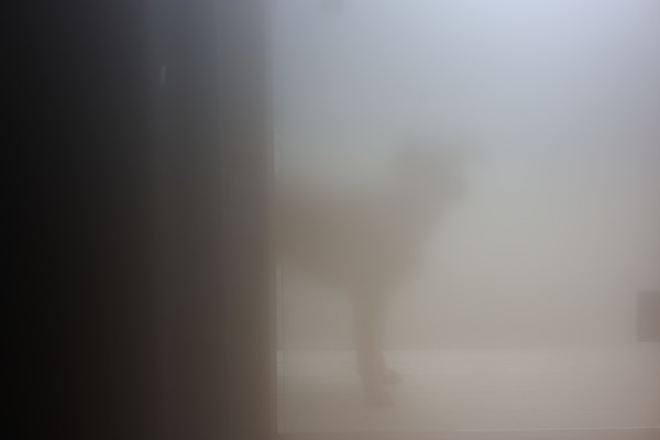 9e3dd7a10f7d19038fde1d6312ac360e_1673868