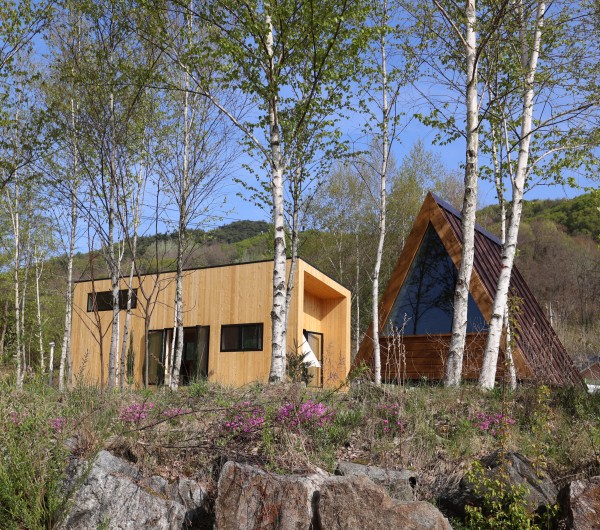 24a3f0f99176ee70cbd75a9736043903_1683010