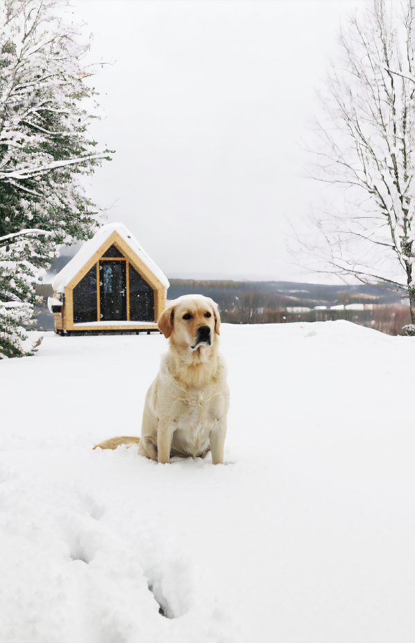 c0f262b1f4174acc16a1050a18044ee4_1704592