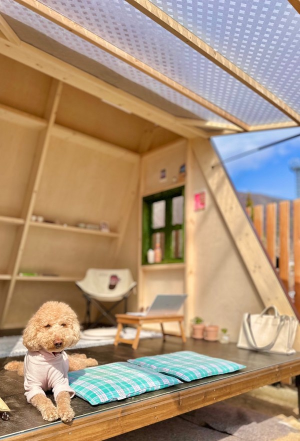 73e8b2ad11f12c49b79586f9940a7af9_1711692