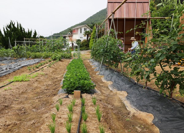 f73fe26b09016e043c06017672d98998_1751246