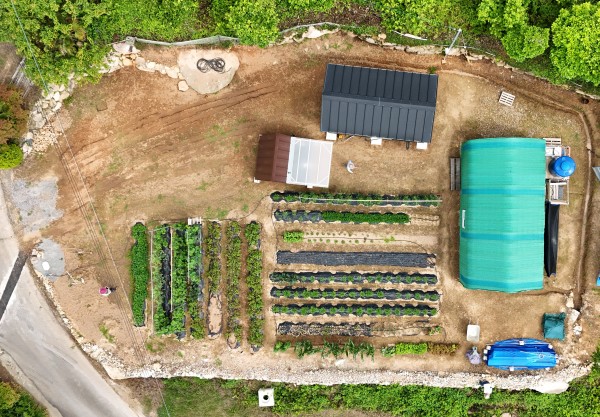 f73fe26b09016e043c06017672d98998_1751246