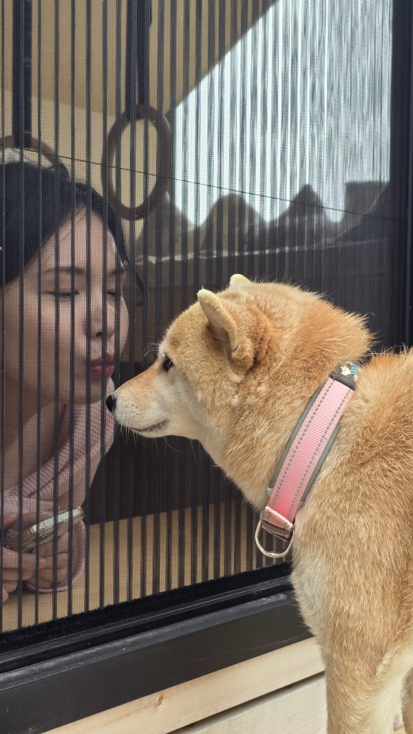 2ad3329dcfb07060e9baa82cce9c3877_1752623