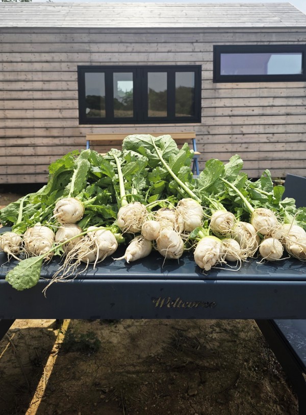 2ad3329dcfb07060e9baa82cce9c3877_1752623